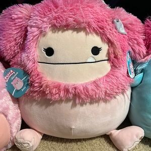 Caparinne the bigfoot squishmallow
